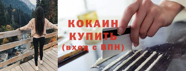 сатива Лабытнанги