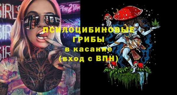 сатива Лабытнанги