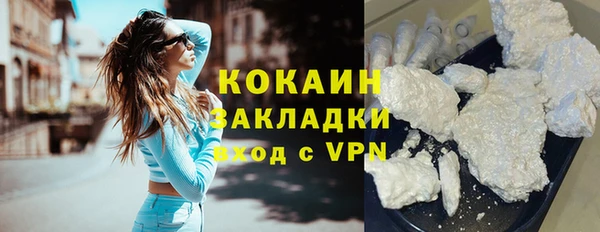 сатива Лабытнанги
